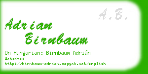 adrian birnbaum business card